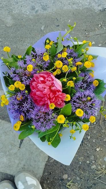 обертка для цветов купить: Продам бордовые пионы для букетов, могу завернуть в крафт, прозрачку — 9