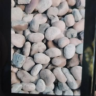 Галька: Галька, Речная, Ландшафтная, Газ 53, Шахман, Маз — 1