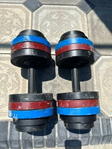 гантели для начинающих дома: Пара разборных гантелей для силовых тренировок. Каждая гантель — 1