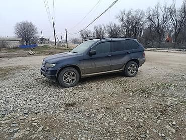daf 2001: BMW X5: 2005 г., 3 л, Автомат, Дизель, Кроссовер — 4