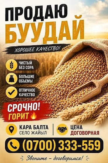 рис баткен: Пшеница (буудaй), хорошее качество. Характеристики: - Чистая, без — 1