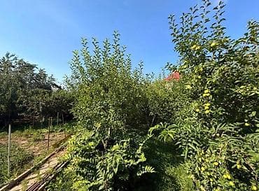 нижний ала арча: 5 соток, Для строительства, Красная книга, Тех паспорт — 8