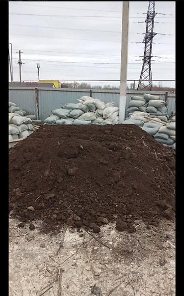 расада помидор: В мешках, Бесплатная доставка, Портер, Зил — 1