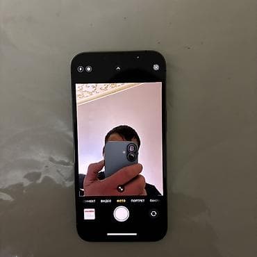 Аксессуары для мобильных телефонов: IPhone 13 Pro, Alpine Green, Чехол, 81 % — 2