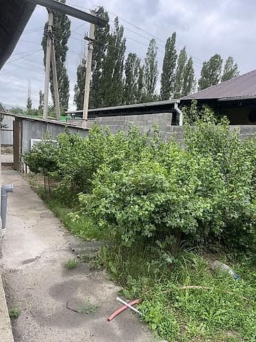 по ленинское: Продаю дом первая линия.Село Жал в Ленинском р-не,учаток по — 9