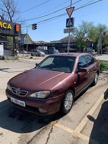 ка 3: Nissan Primera: 2001 г., Седан — 3