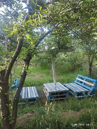 село чокморова: Продаётся дом на южном берегу Исык-Куля село Тамга. Очень прибыльное — 5