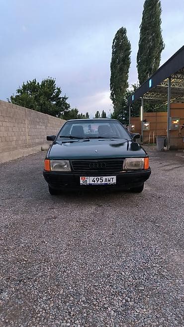 Audi 100: 1989 г., 1.8 л, Механика, Бензин, Седан