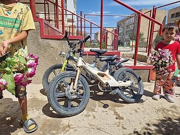 diska 14: Детский велосипед (примерно 16–18 дюймов) - Лёгкая рама с — 1
