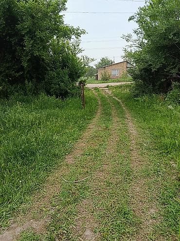 1 комнат: 5 соток, Для сельского хозяйства, Красная книга — 3