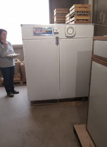 Өндүрүш үчүн жабдуулар: Продаю 2 Инкубатора один на 2112 яйц, второй на 1028 яйц — 2
