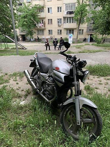 Мотоциклы: Naked 750 куб. см, Бензин, Взрослый — 2