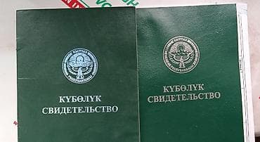 1 bedroom: 66800 соток, Договор купли-продажи — 7