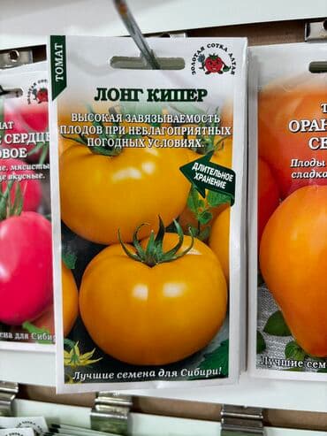 рассада помидор купить: Семена помидоров по 25 сомов «Джина ТСТ» «Лонг кипер» «Янтарное — 2