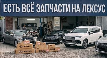 Оригинальные запчасти и комплектующие для Lexus - Ассортимент