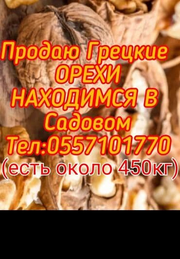 мини сейф для денег бишкек: Продаю Грецкие орехи . местные обращаться по указанному номеру мы — 1