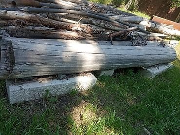 Бревна и сухостой для распила/хозяйственных нужд. Описание: - Крупные