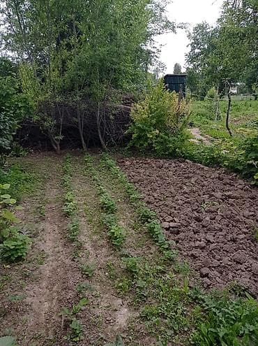 баха магистирал: Дом с внутренним двором и террасой/верандой. - Одноэтажный жилой дом — 8