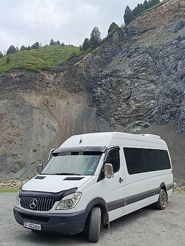 пена для крышы: Пассажирский микроавтобус Mercedes-Benz Sprinter (длинная база — 1