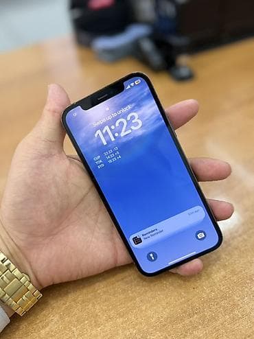 IPhone 12 Pro, Sierra Blue