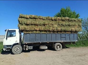 Тук, жуктойбуз Грузчики