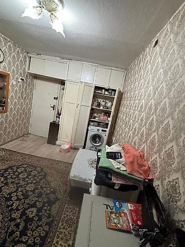 1 комната, Без животных