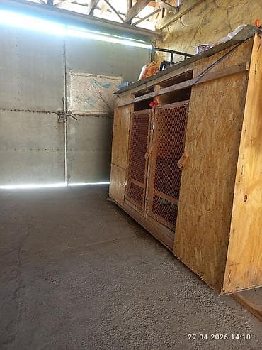 маскитная сетка ош: Деревянный вольер/клетка для продаю срочно животных и птицы из ОСБ - — 6