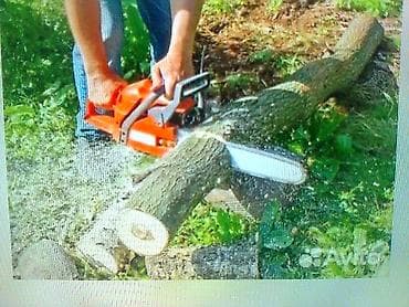 угол дрова: По беловодску пилю деревья распил на части,рублю дрова,заготовка дров — 2