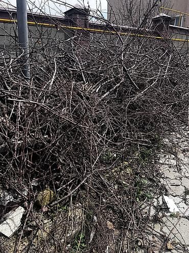 дрова в бишкеке: Дрова Самовывоз — 2