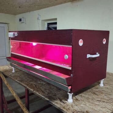 шары для хомяков: Продаю брудер для выращивания цыплят полный комплект сделан из фанеры — 8