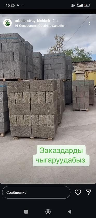 арболит: Арболитовые блоки для строительства домов и перегородок - Материал — 2