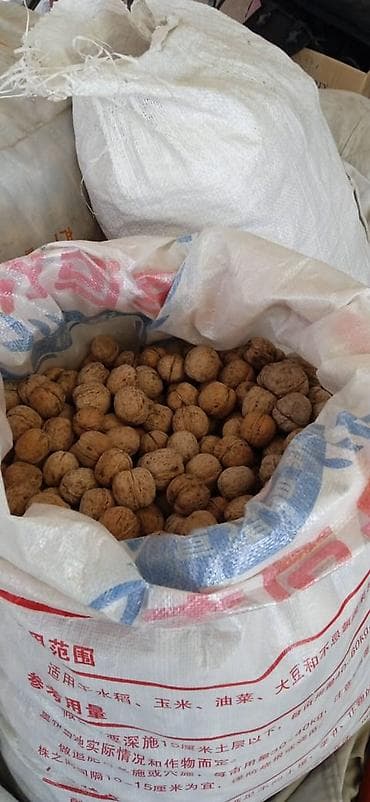 Май, консервалар: Грецкий орех в скорлупе - Натуральные орехи в цельной скорлупе — 2