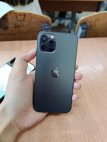 IPhone 12 Pro Max, Графит, Чехол