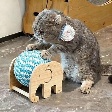 ⸻ Игрушка-когтеточка для кошек — прочный катящийся мяч из бумажной