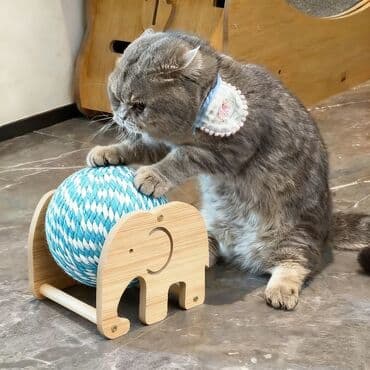 Грызуны: ⸻ Игрушка-когтеточка для кошек — прочный катящийся мяч из бумажной — 1