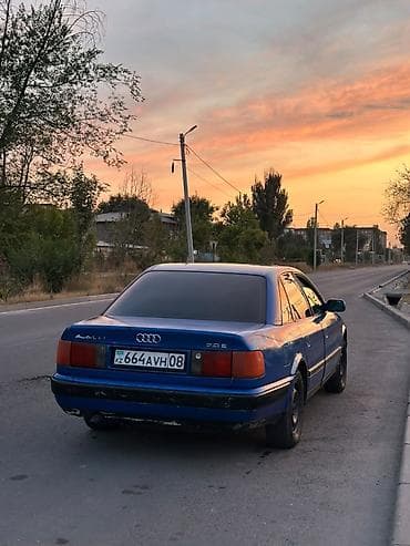 oz opera: Audi 100: 1991 г., 2 л, Механика, Газ, Седан — 2