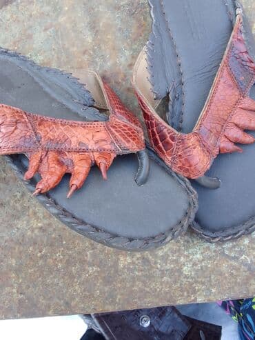 шлепка: Шлепанцы кожа крокодила,39 р 0/508/01/35/95 — 1