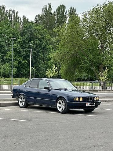 BMW 5 series: 1992 г., 2 л, Механика, Бензин, Седан