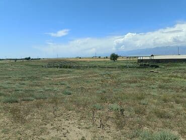 дом в районе кызыл аскер: Продаю Кошара, 600 соток, Действующий, С оборудованием, Электричество, Скважина — 10