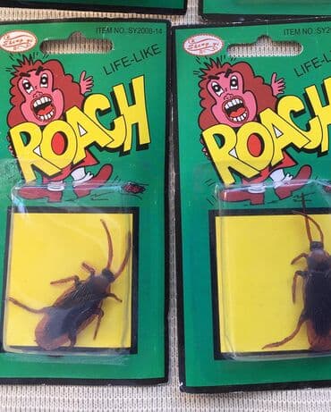 сколько стоит лапка сквиш в бишкеке: Игрушка-таракан — 1