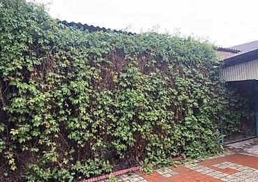 Дома: 🔥Продается Дом 🔥 🏡Район: Ак орго ✅Участок: 5 соток 📍Площадь: 80 — 3