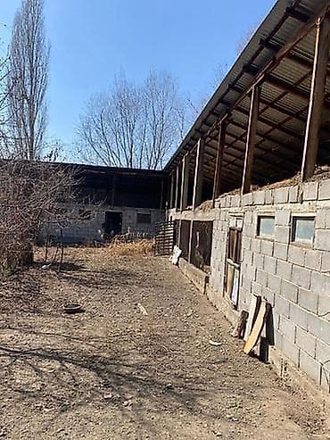 участок село жал: 23 соток, Для бизнеса, Красная книга, Тех паспорт, Договор купли-продажи — 4