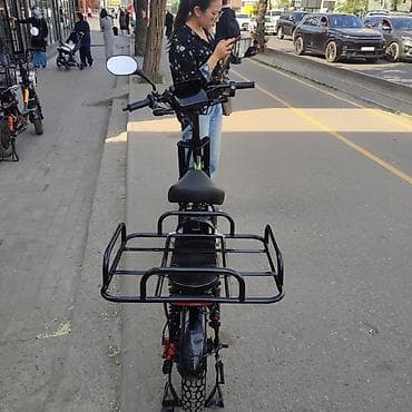 Электроскутер-грузовой (урбан/курьерский формат) торг у капота — 6