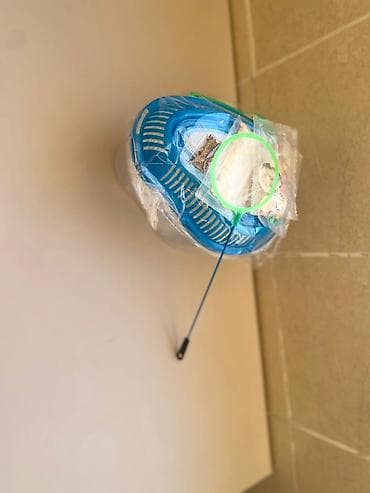 Зоотовары: Маленькая водная черепашка отличное решение для подарка аксессуары  — 4