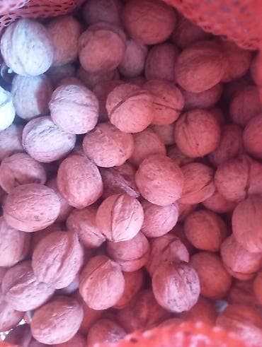 Грецкий орех в скорлупе - Цельные орехи, калибр разный, скорлупа