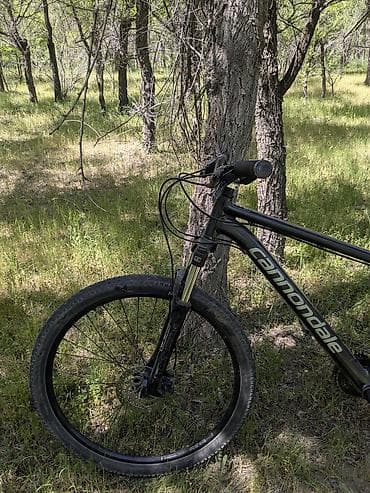Тоо велосипеддери: ТАКАЯ ЦЕНА ИЗ ЗА СРОЧНОСТИ! Cannondale Catalyst 1 (2019) (Хардтейл) — 3