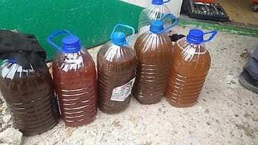 сто ремонт: Компьютерная диагностика, Замена масел, жидкостей, Замена фильтров, без выезда — 3