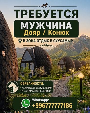 Работа: Вакансия: Конюх в зоне отдыха в Суусамыре. Обязанности: за - Уход за — 1
