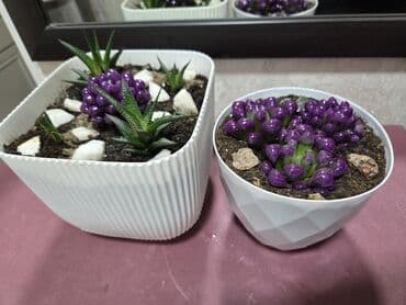 большие комнатные растения: Сансевиерия (Sansevieria trifasciata) в декоративных горшках. - — 4