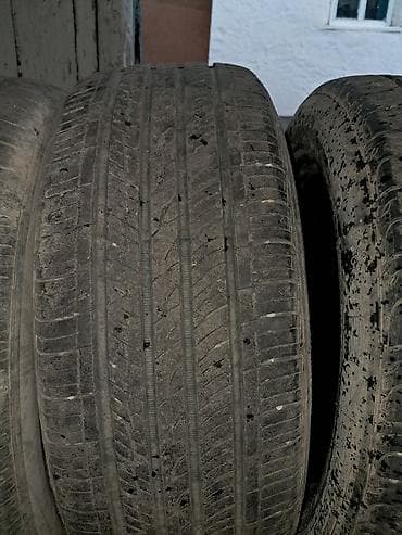 w210 e55 amg: Комплект летних шин 225/55 ZR17 (4 штуки) - Размер: 225/55 ZR17 — 4